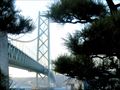 松と橋 3