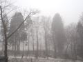 田沢湖高原温泉の霧