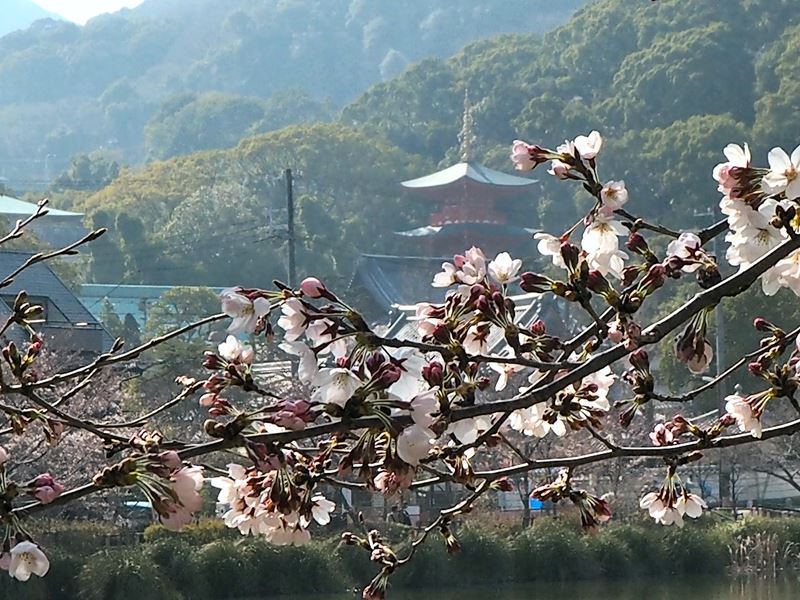 須磨寺公園