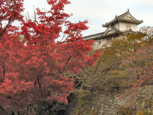 姫路城の紅葉