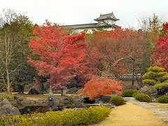 姫路城の紅葉 7