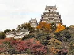 姫路城の紅葉 12