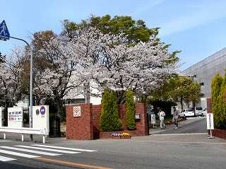 県立神戸商業高校